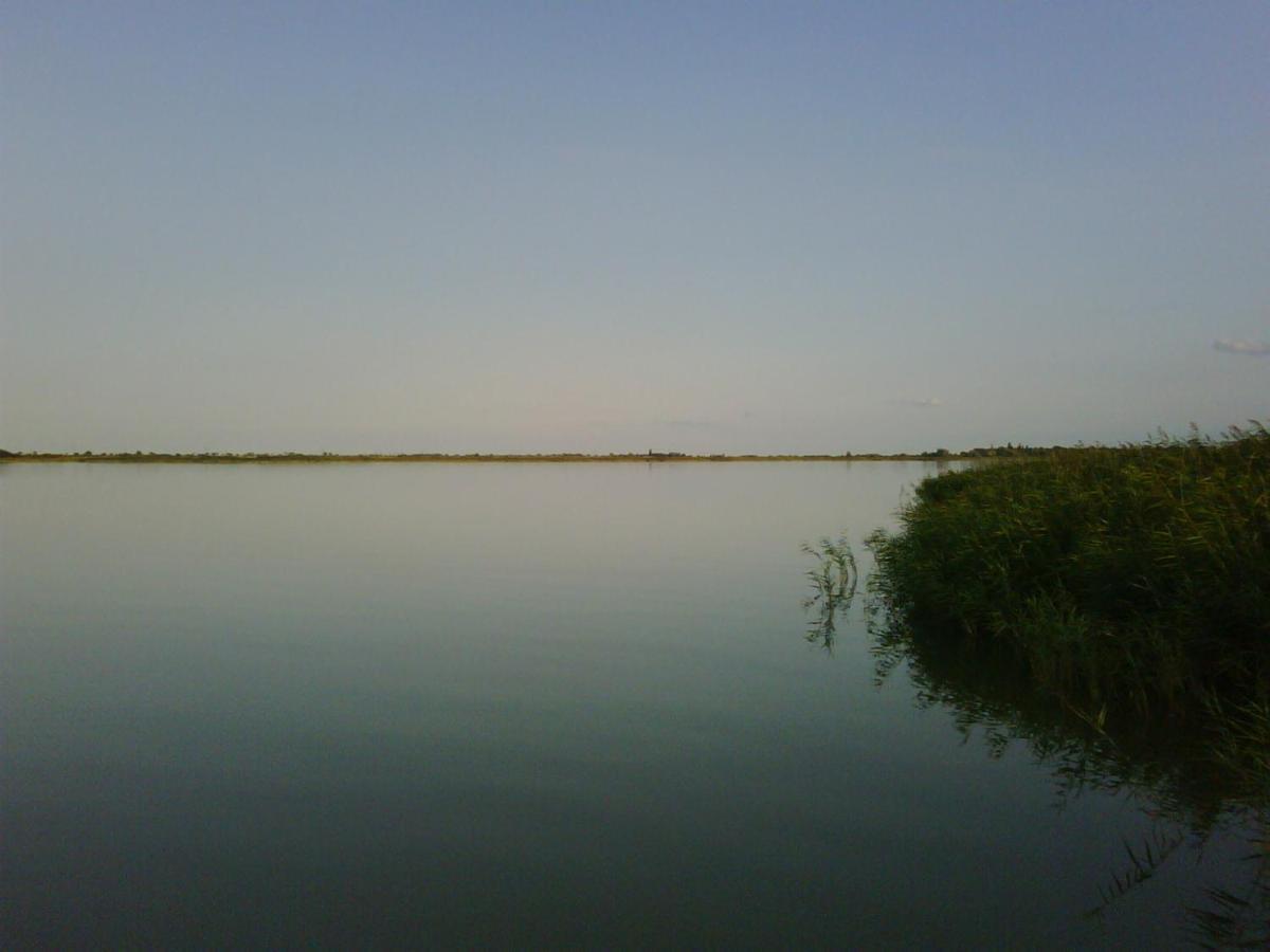 Haus Am See Neusiedl am See Εξωτερικό φωτογραφία