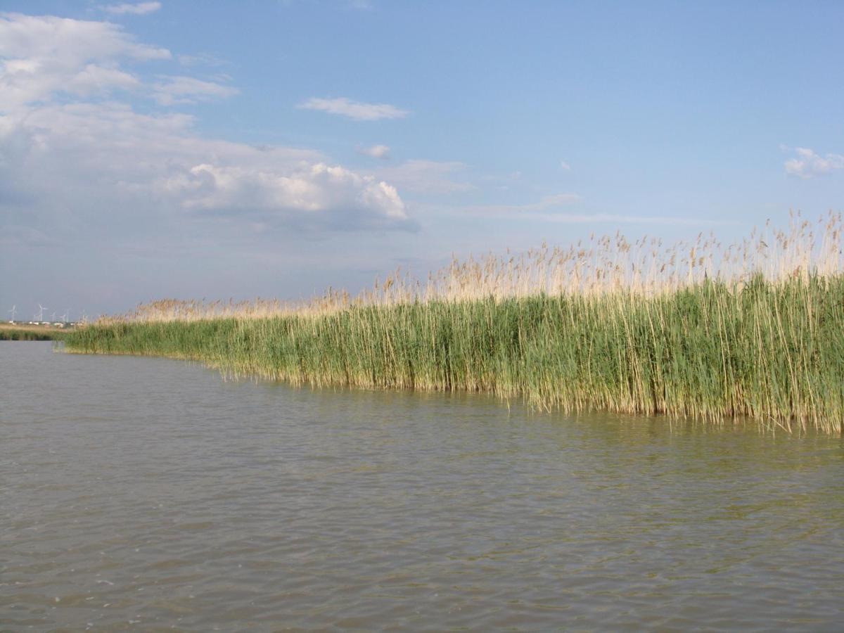 Haus Am See Neusiedl am See Εξωτερικό φωτογραφία