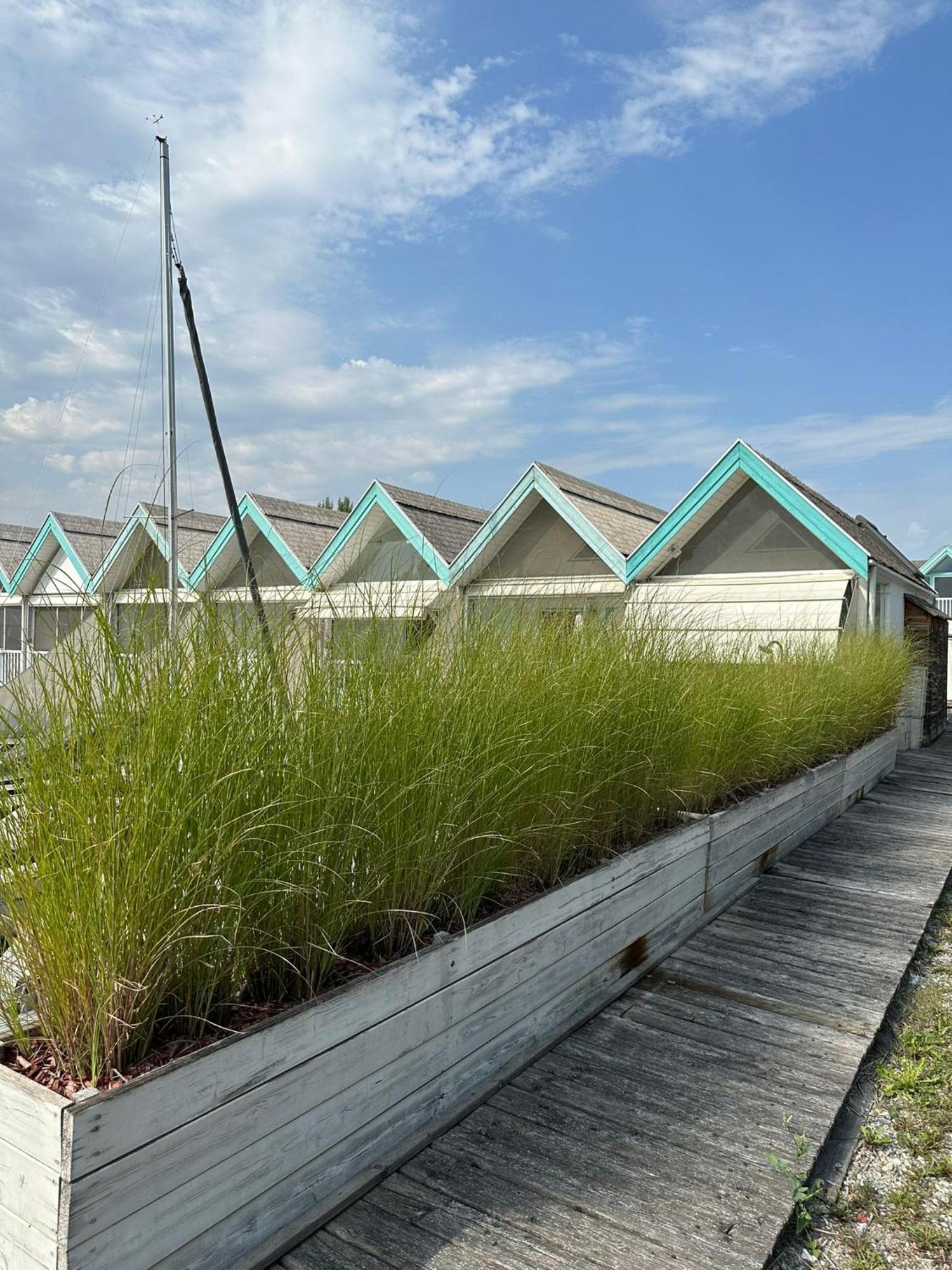 Haus Am See Neusiedl am See Εξωτερικό φωτογραφία