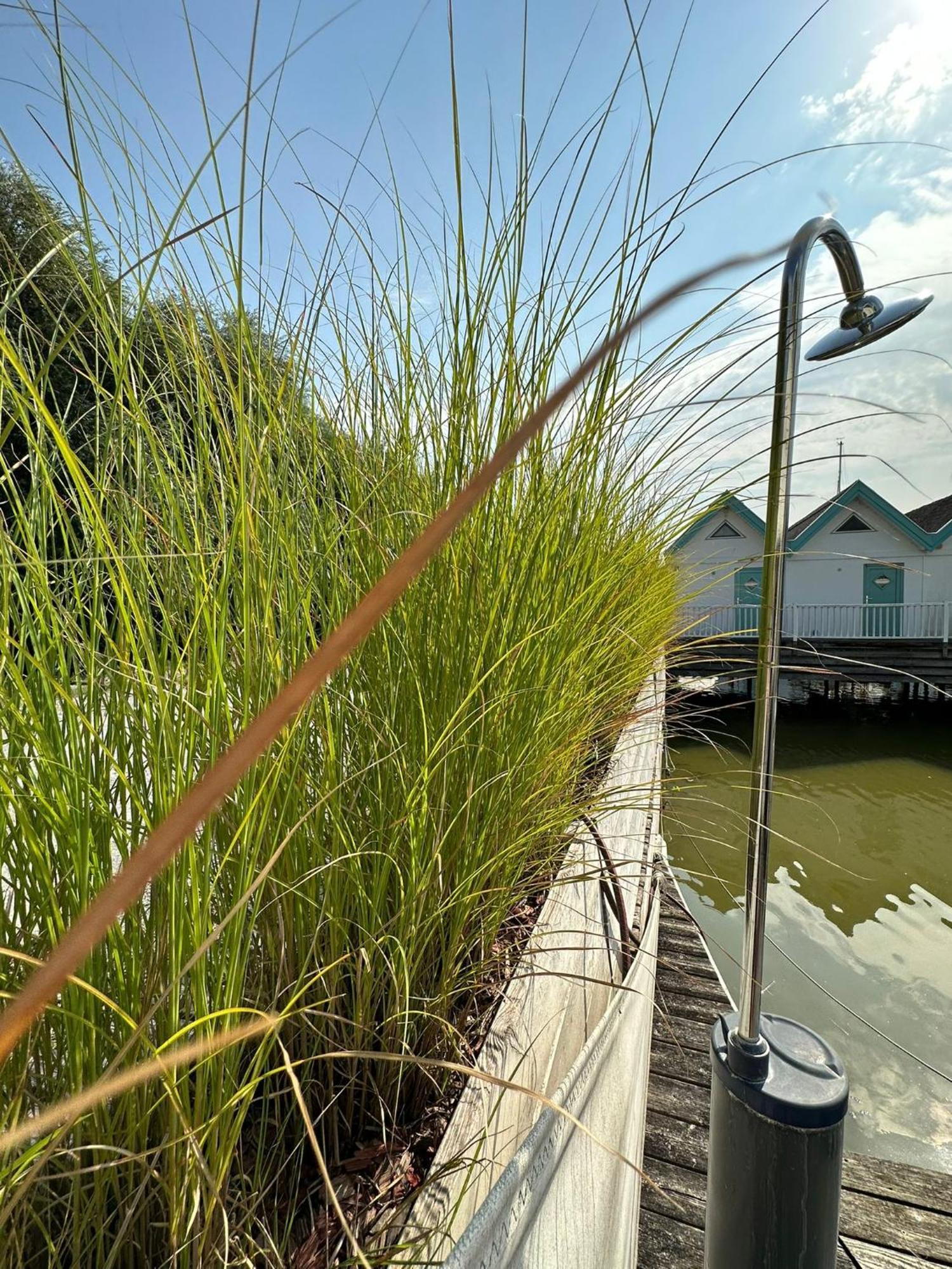 Haus Am See Neusiedl am See Εξωτερικό φωτογραφία